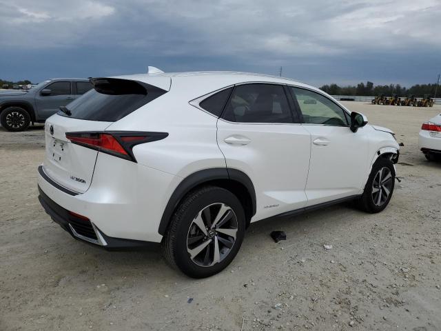 2020 LEXUS NX 300H JTJGJRDZ8L5003001