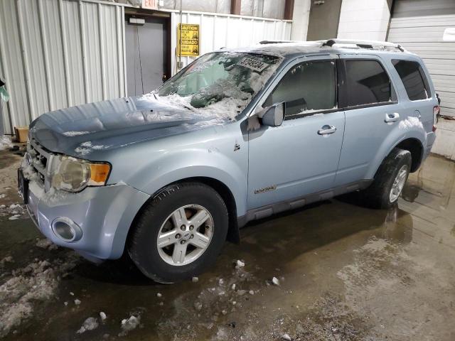 2008 Ford Escape 