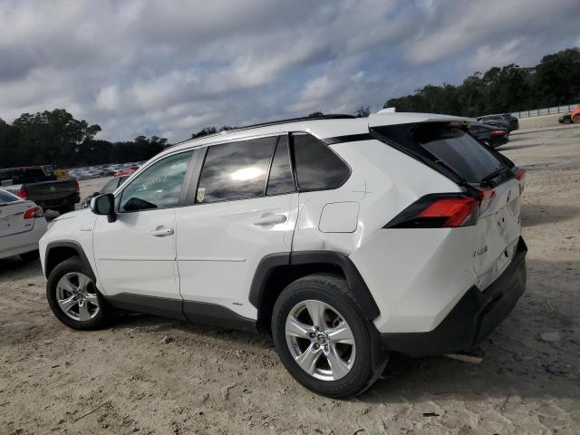 2T3RWRFV5KW040117 | 2019 TOYOTA RAV4 XLE