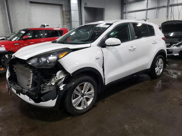 KNDPMCAC5H7230360 | 2017 KIA SPORTAGE L