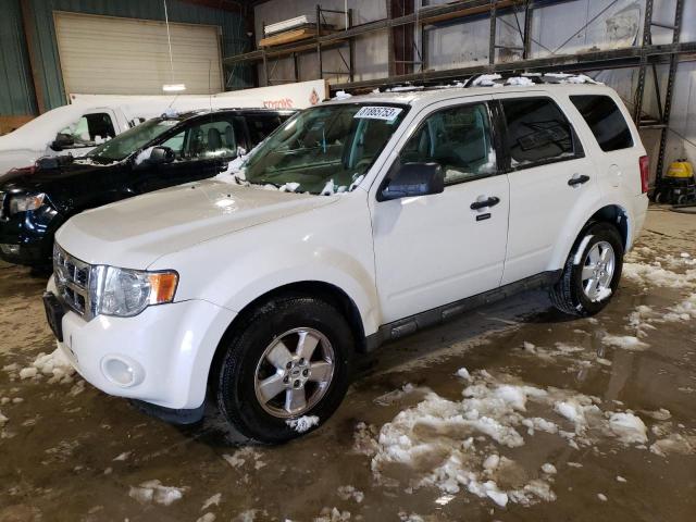 2009 Ford Escape XLT