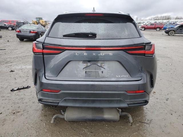 2022 LEXUS NX 250 2T2GDCAZ2NC001872