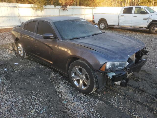 2C3CDXHG5EH122873 | 2014 DODGE CHARGER SX