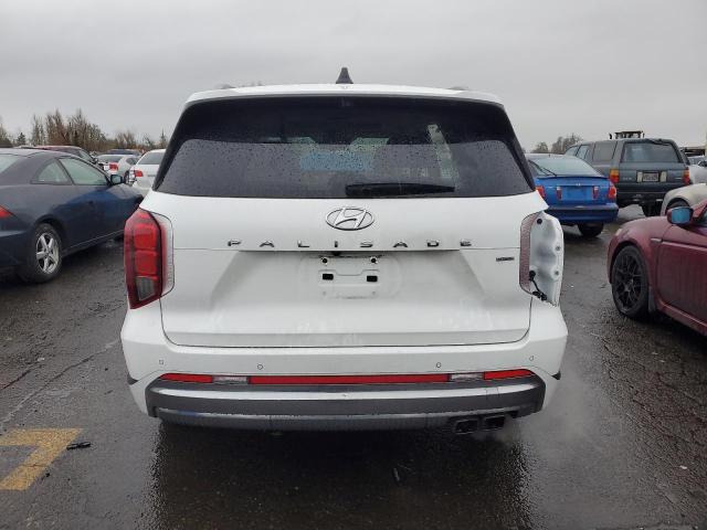 KM8R7DGE7PU512865 | 2023 HYUNDAI PALISADE C