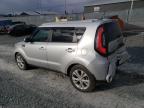 KIA SOUL + photo