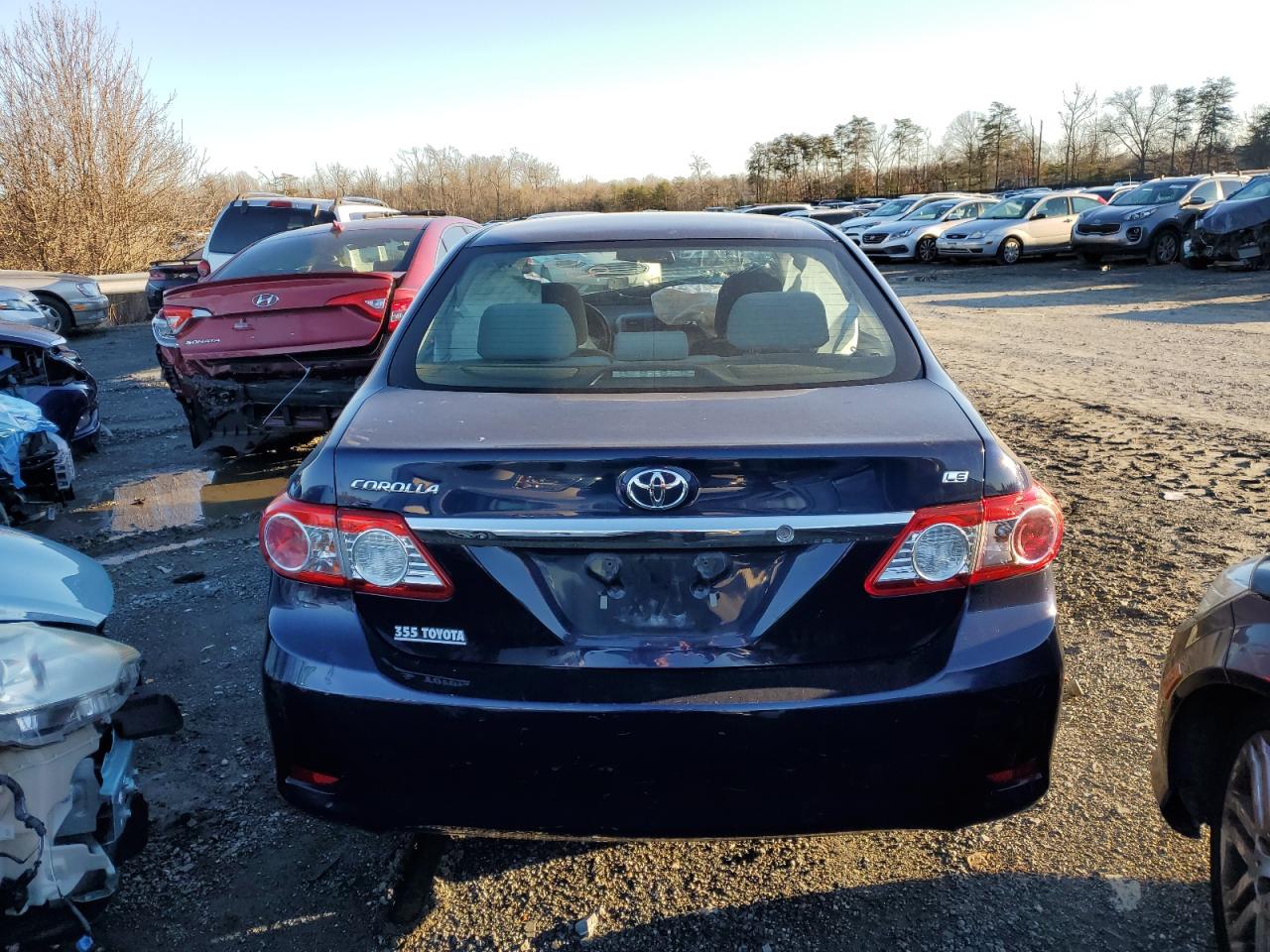 Global Auto Auctions