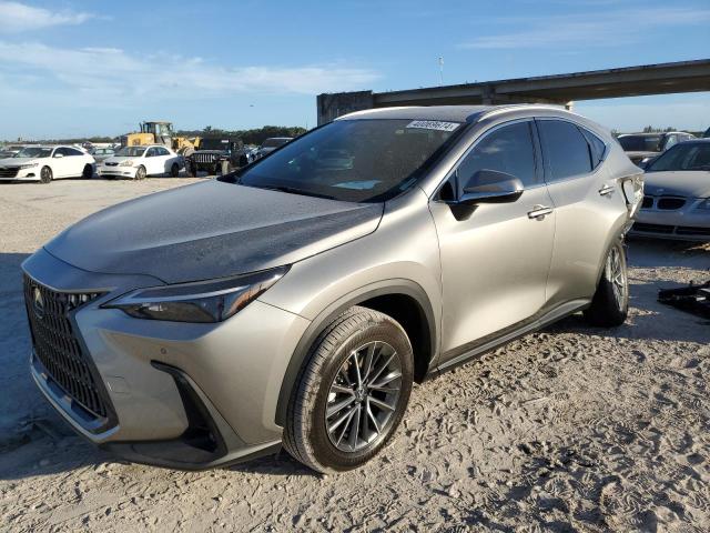 2023 Lexus NX 