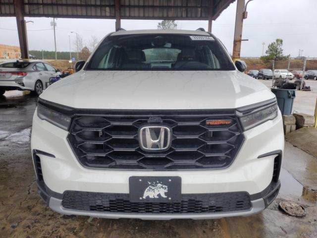 2024 HONDA PILOT TRAI 5FNYG1H66RB005232