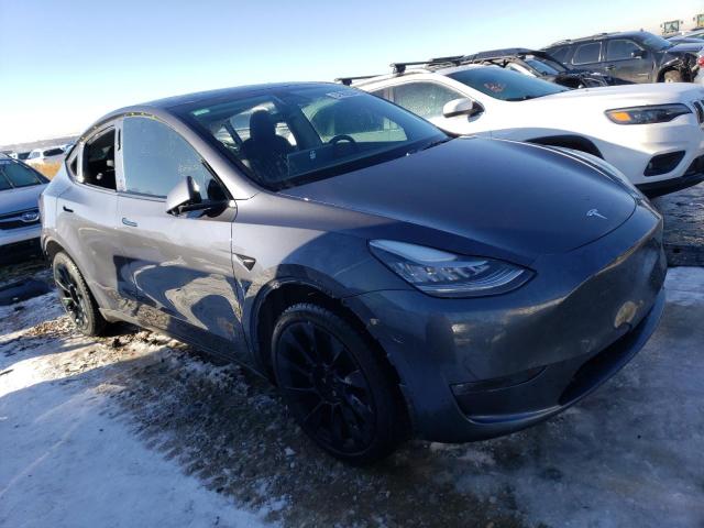 5YJYGDEE1MF137871 | 2021 TESLA MODEL Y