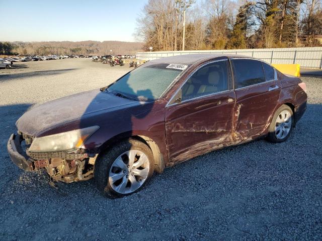 2010 Honda Accord Coupe EX-L