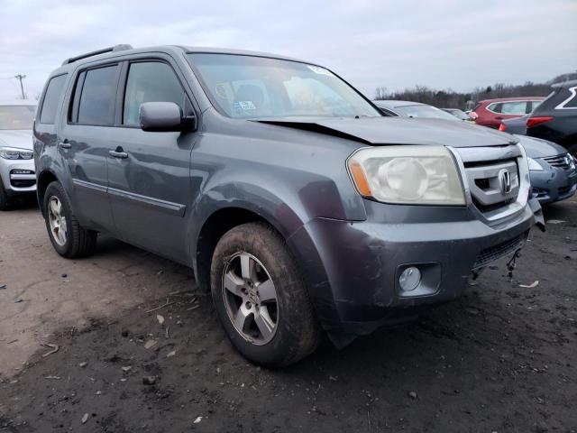 5FNYF4H42BB045929 | 2011 Honda pilot ex