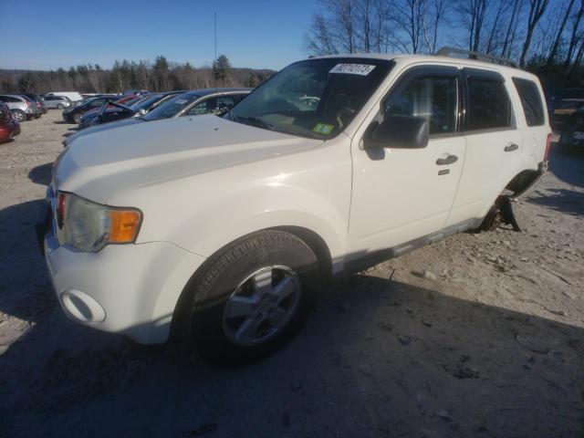 2010 Ford Escape XLT