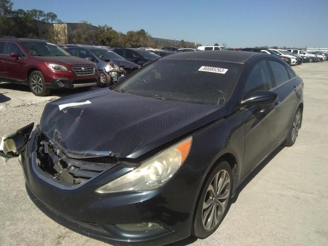 Lot #2414214166 2013 HYUNDAI SONATA SE salvage car