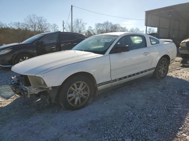 Lot #2412114174 2005 FORD MUSTANG salvage car