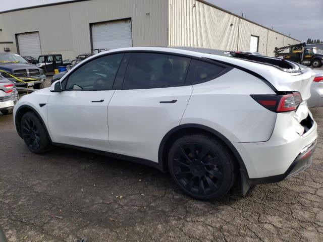 7SAYGDEE7PF591632 | 2023 TESLA MODEL Y