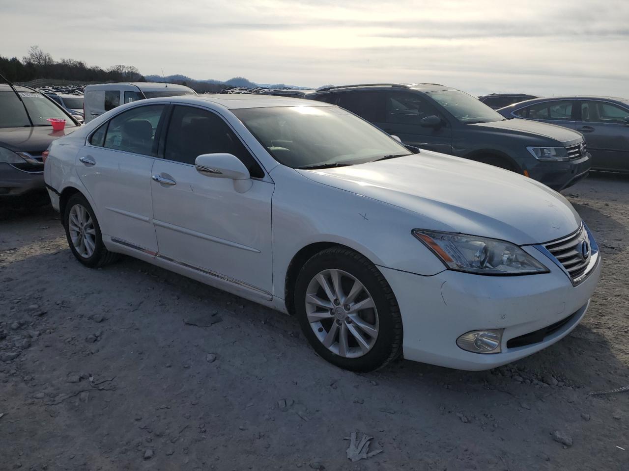 Lot #2819029270 2011 LEXUS ES 350