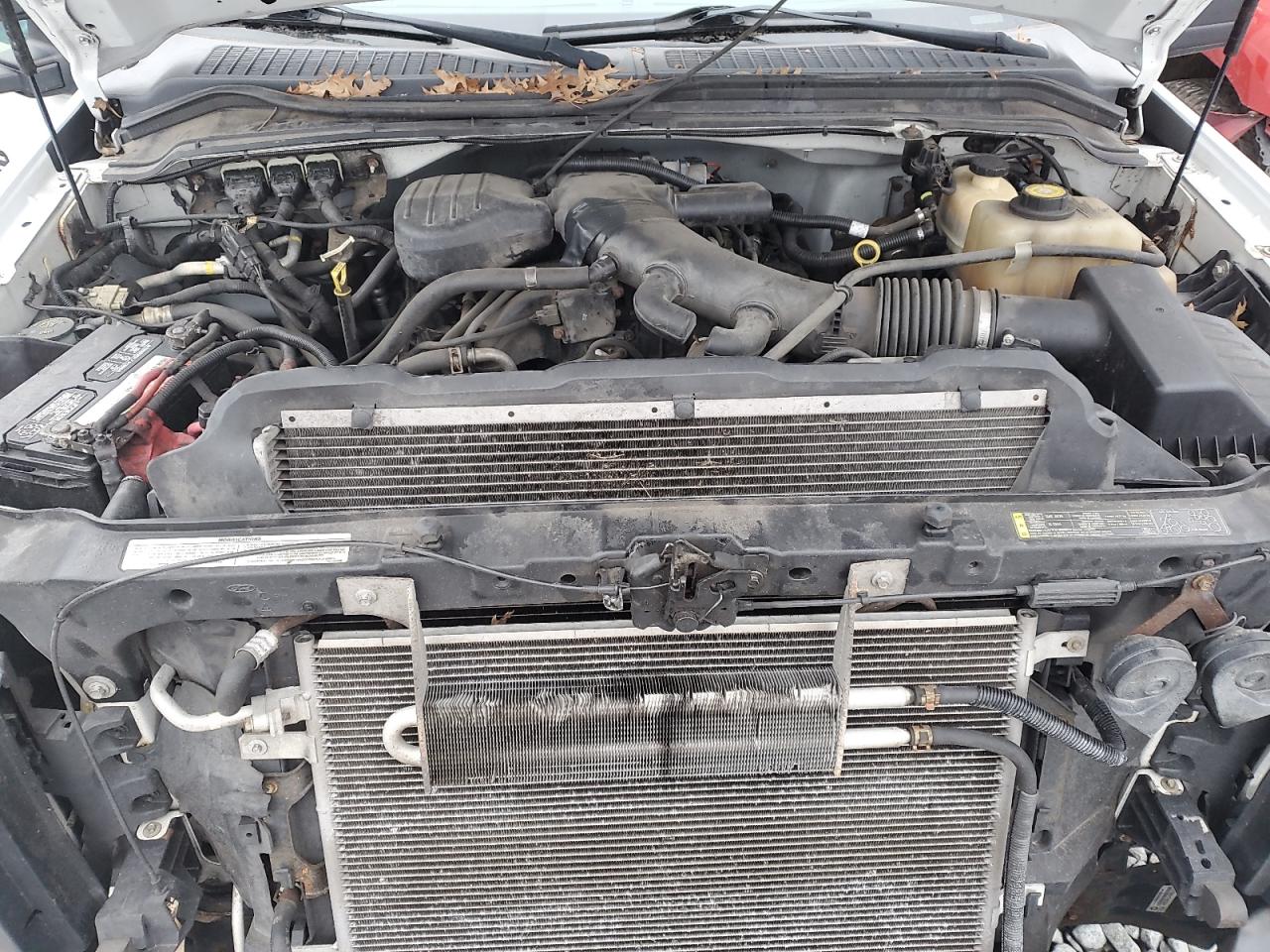 1FDWF36Y78EE43800 2008 Ford F350 Super Duty