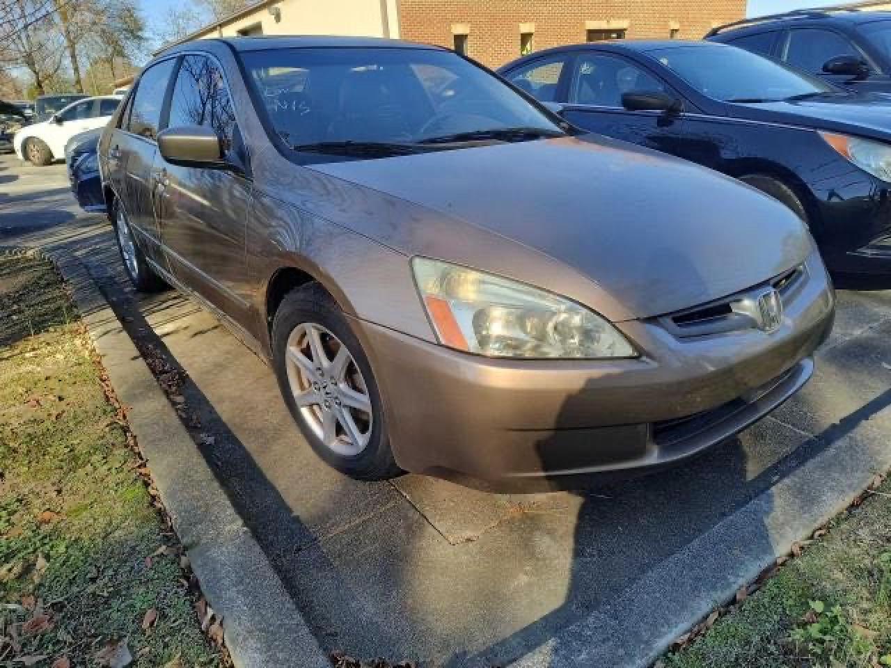 2004 honda accord gold