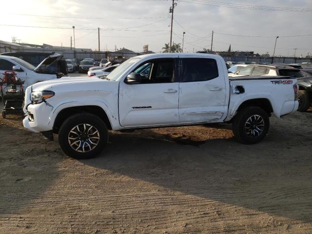 2023 TOYOTA TACOMA DOU 3TMCZ5AN4PM545331