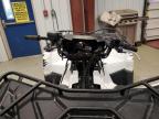 POLARIS SPORTSMAN photo