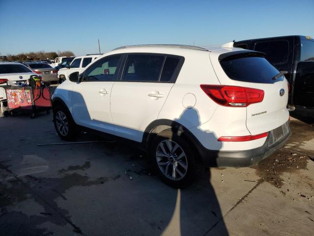 KNDPB3AC5E7550036 | 2014 KIA SPORTAGE B