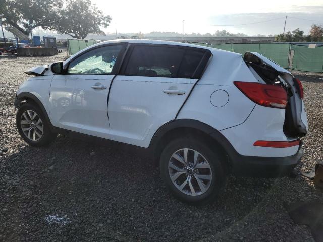 KNDPB3AC5E7565040 | 2014 KIA SPORTAGE B