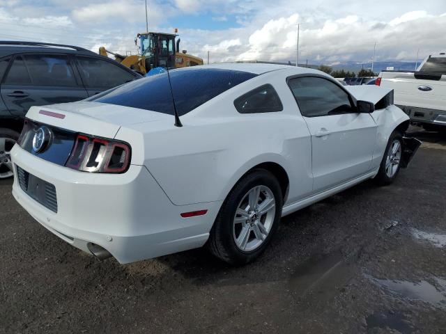 1ZVBP8AM3E5250439 | 2014 FORD MUSTANG