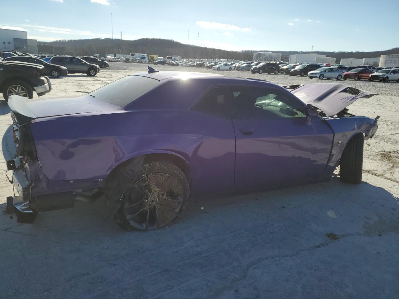 Lot #2371467156 2023 DODGE CHALLENGER