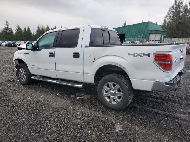 1FTFW1ET3EFB77194 | 2014 FORD F150 SUPER