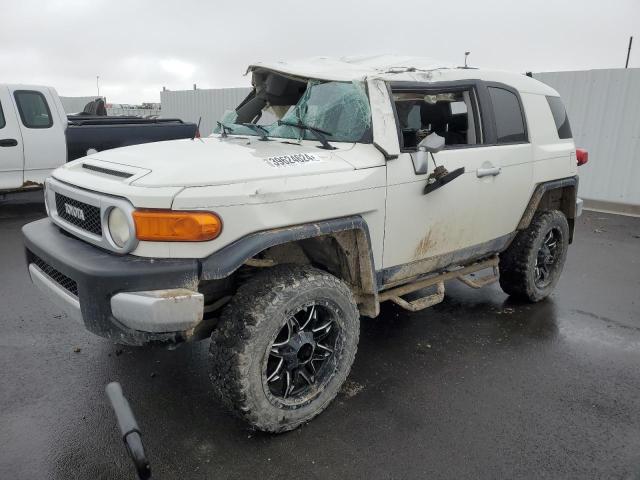 2010 Toyota FJ Cruiser 