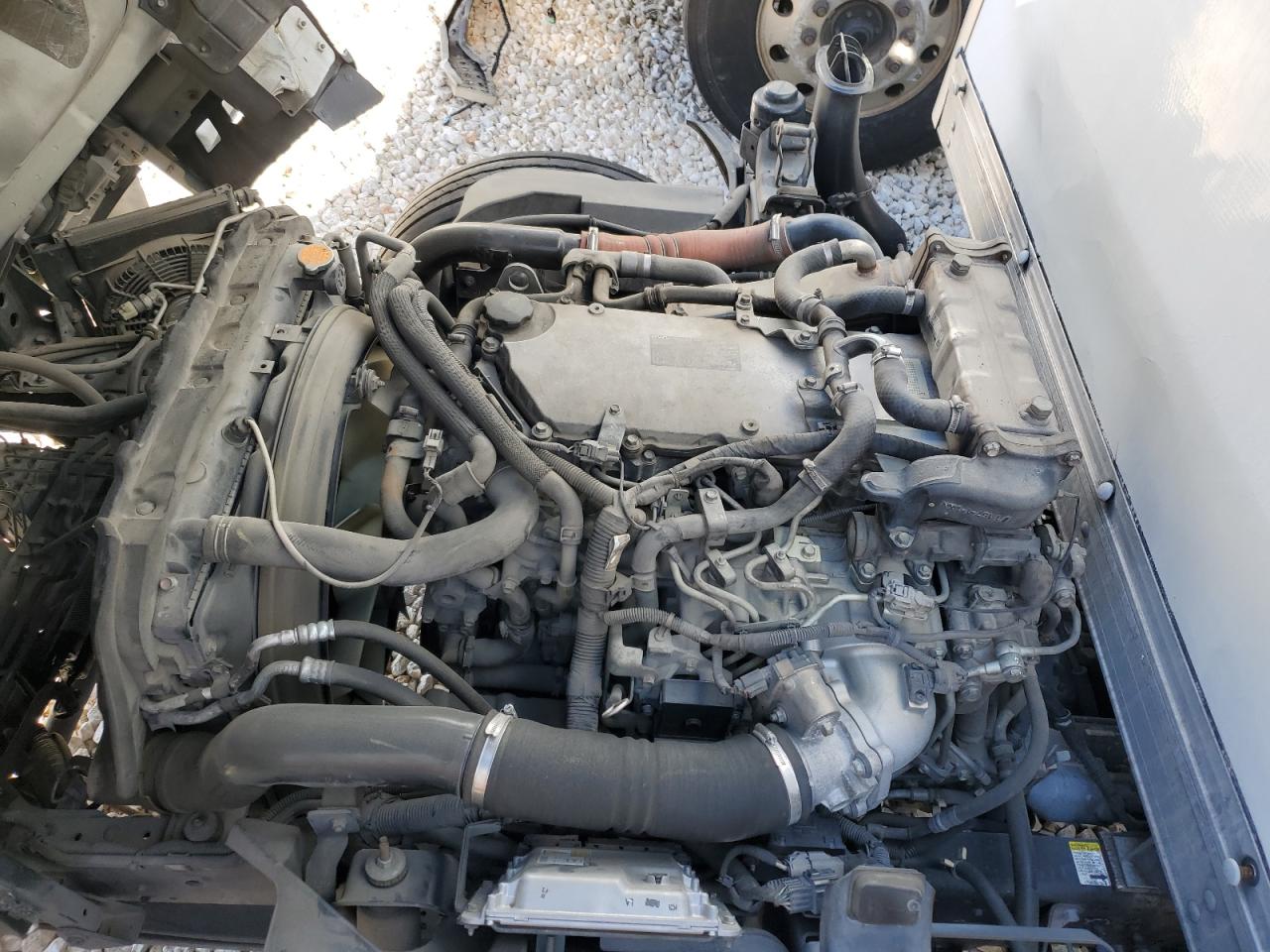 JALE5W160C7901134 2012 Isuzu Nqr