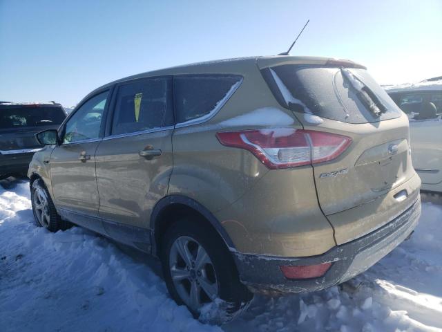 1FMCU0GX1EUD56604 | 2014 FORD ESCAPE SE