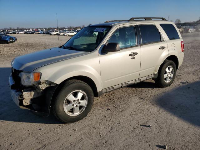 2009 Ford Escape XLT