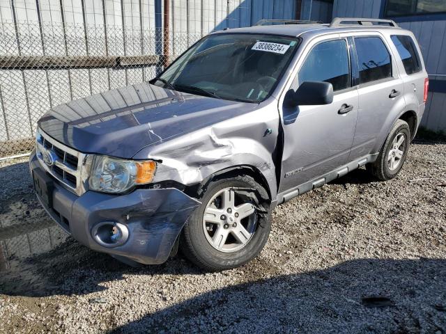 2008 Ford Escape 