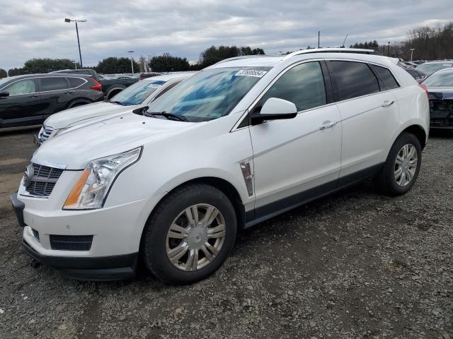 2011 Cadillac SRX Luxury Collection