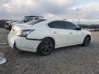 NISSAN MAXIMA S photo