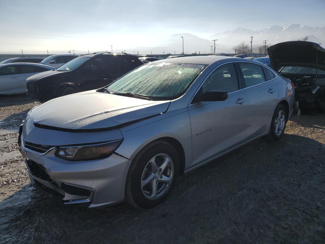 Lot #2494679074 2016 CHEVROLET MALIBU LS