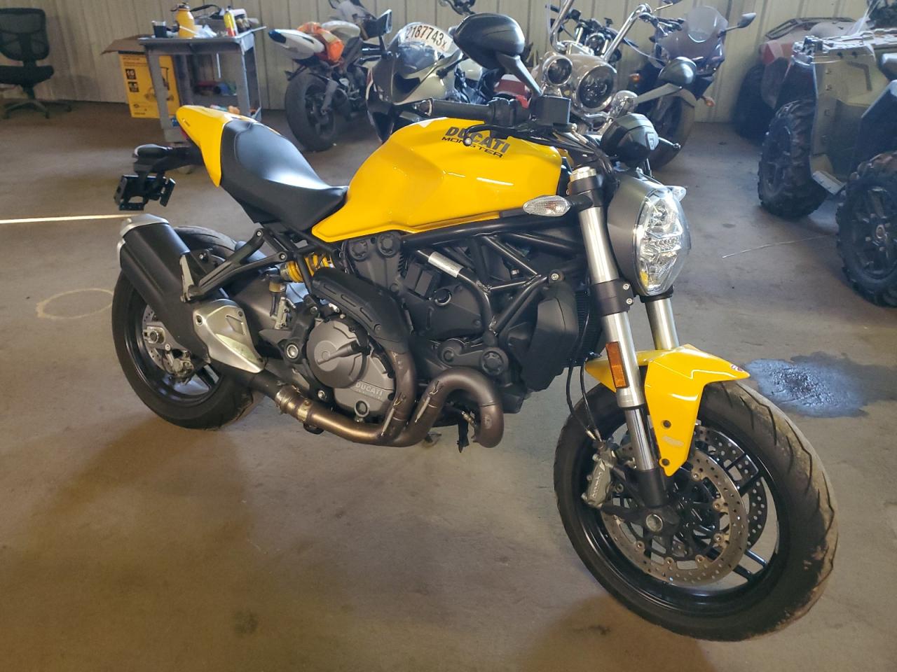  Salvage Ducati Monster