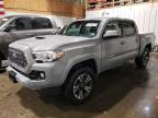 2019 TOYOTA TACOMA DOU - 3TMCZ5AN2KM259602