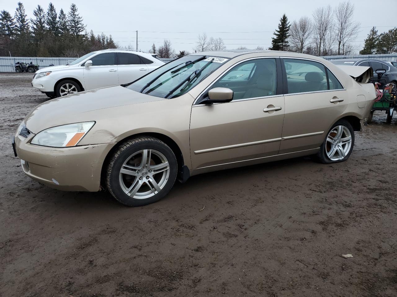 1HGCM56635A807867 2005 Honda Accord Ex