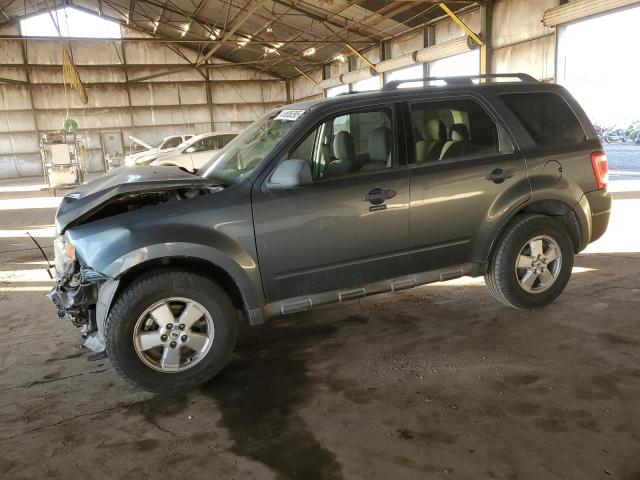 FORD ESCAPE XLT