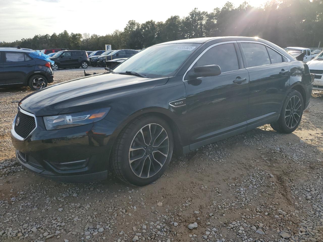 FORD TAURUS SHO