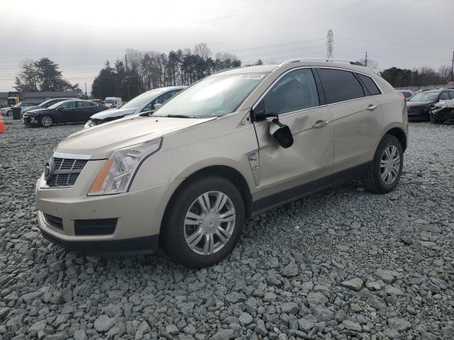 CADILLAC SRX LUXURY COLLECTION