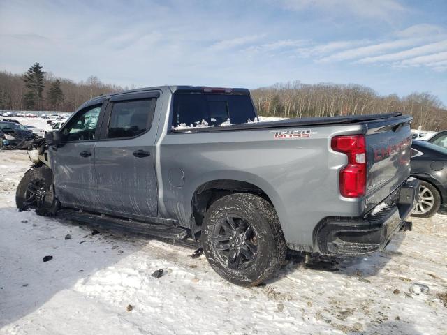 2020 CHEVROLET SILVERADO - 3GCPYFED7LG364843