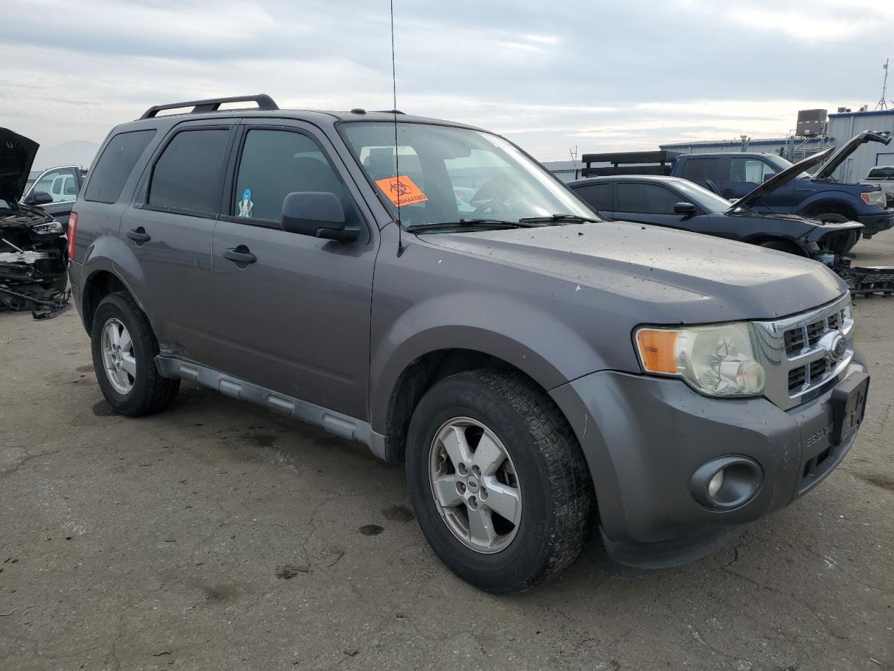 Lot #3045962323 2010 FORD ESCAPE XLT