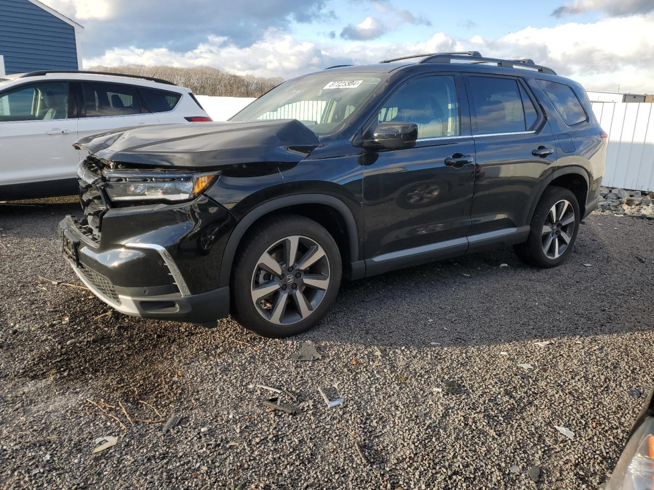 5FNYG1H89RB026674 HONDA PILOT ELIT 2024