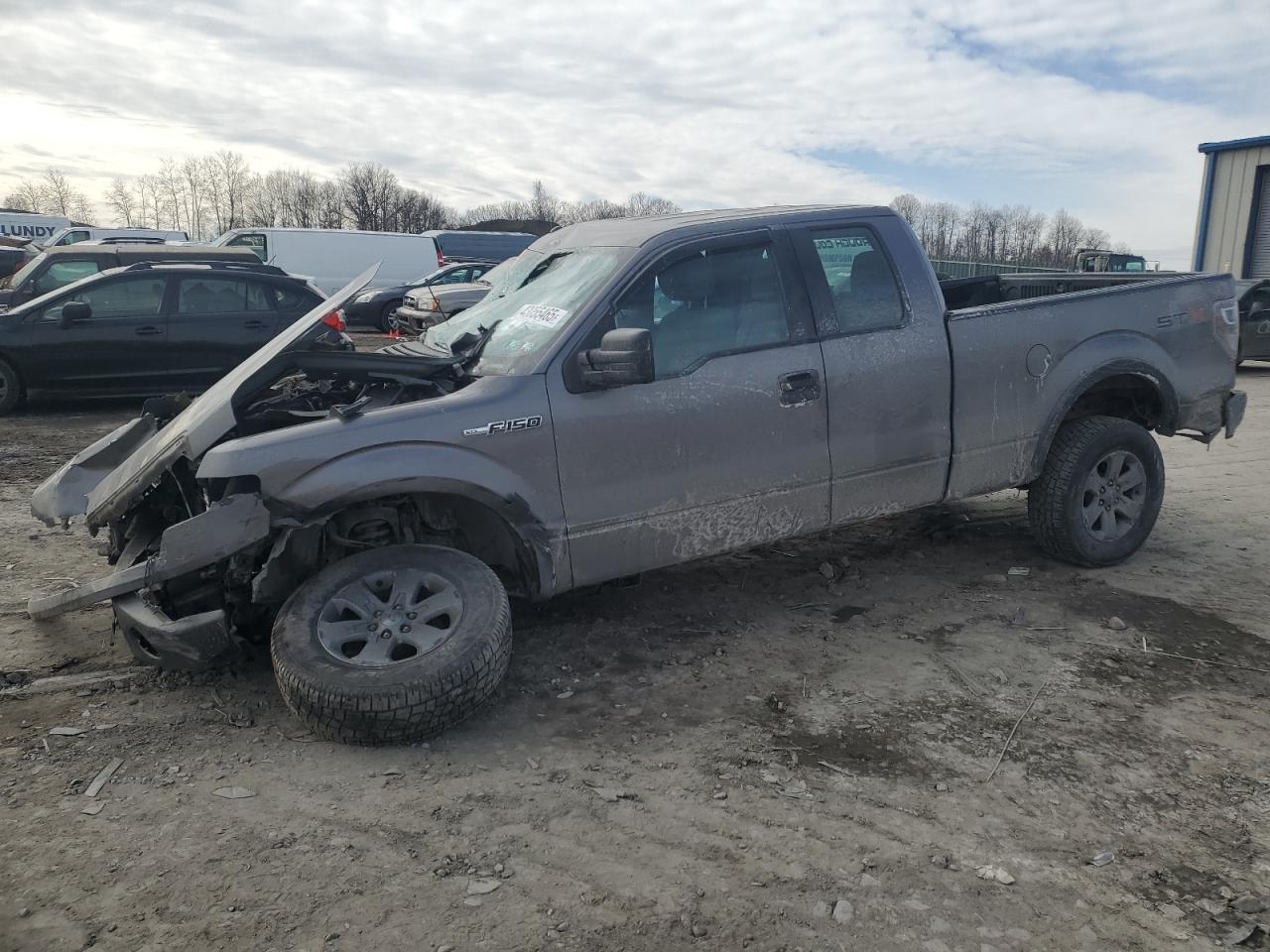  Salvage Ford F-150