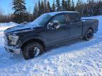 2015 FORD F150 SUPER - 1FTEW1E83FFC62819