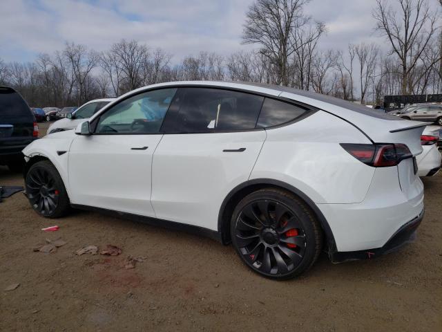 2023 TESLA MODEL Y - 7SAYGDEFXPF855628