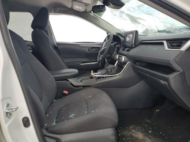 2019 TOYOTA RAV4 LE - 2T3F1RFV2KC004646